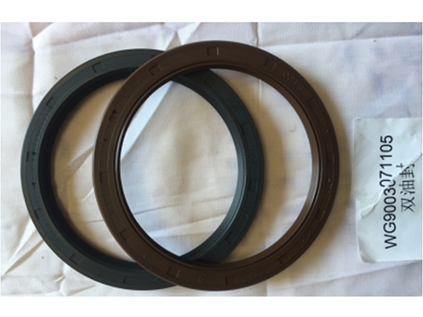 Skeleton oil seal